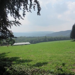 IMG 0643 - Scouts en Gidsen Zaventem 